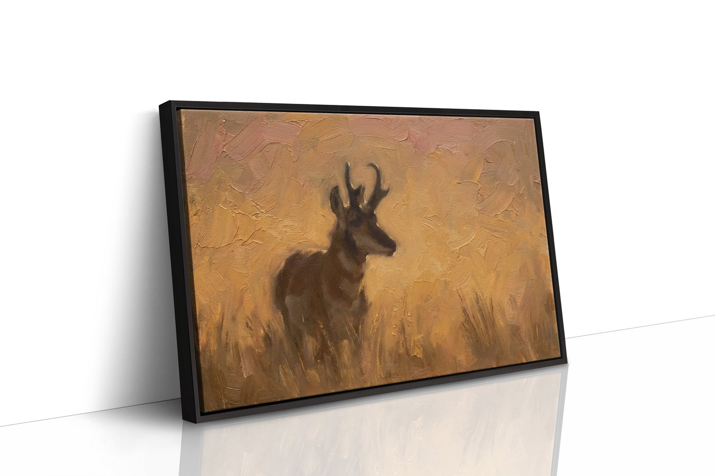 Pronghorn in Golden Grass