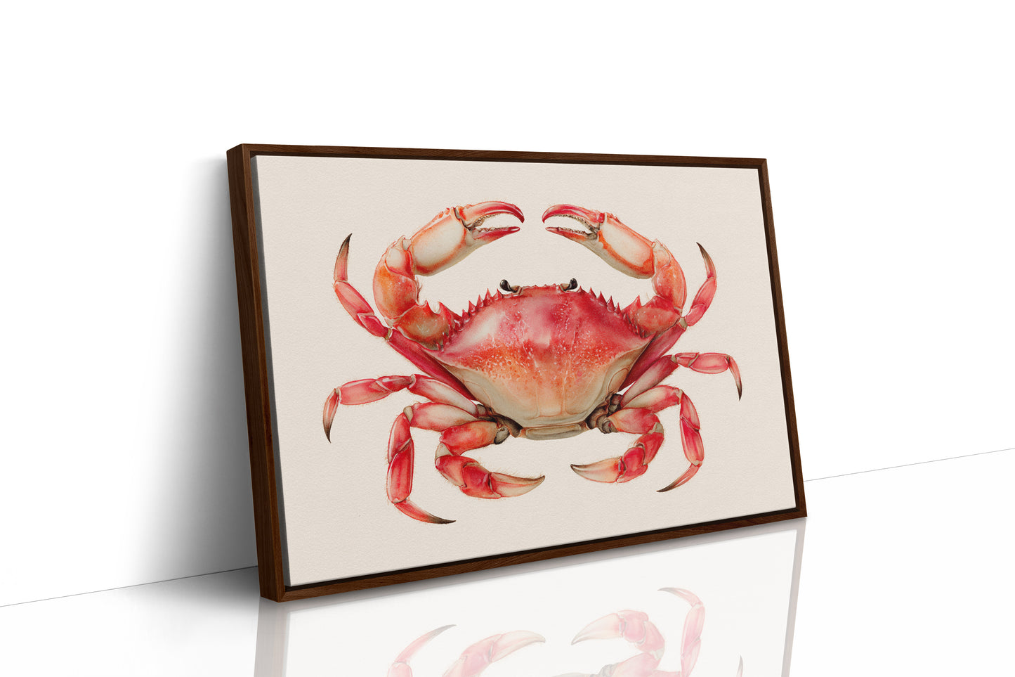 Coral Claws Catch Summer Light