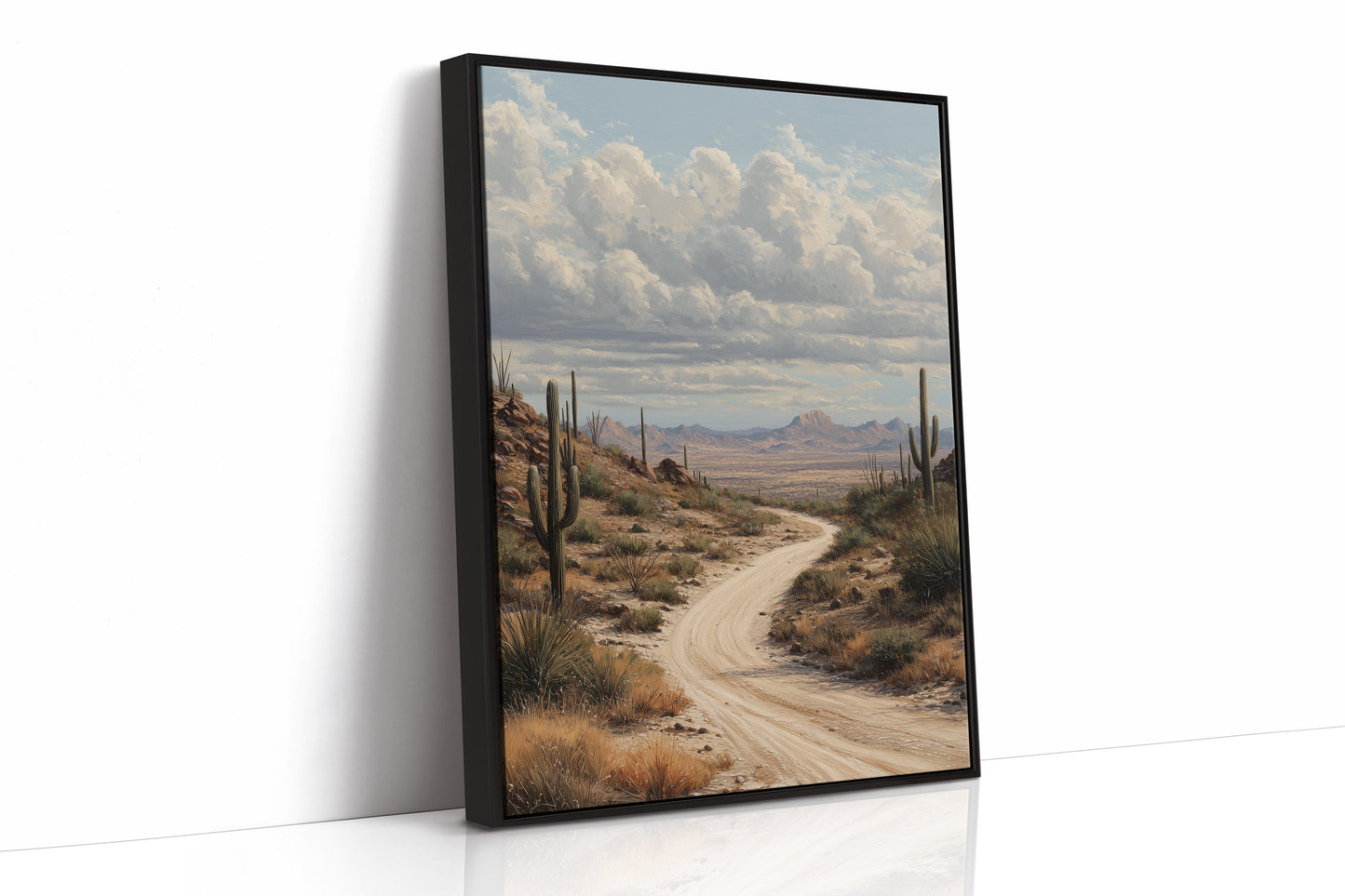 Winding Path Through Sonoran Majesty
