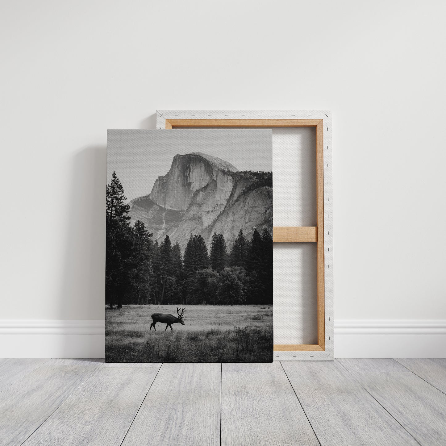 Beneath the Watchful Peak