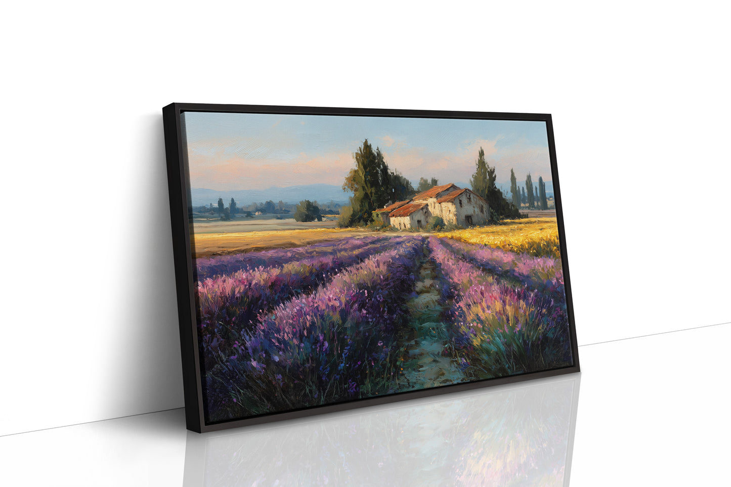 Provence Lavender at Golden Hour