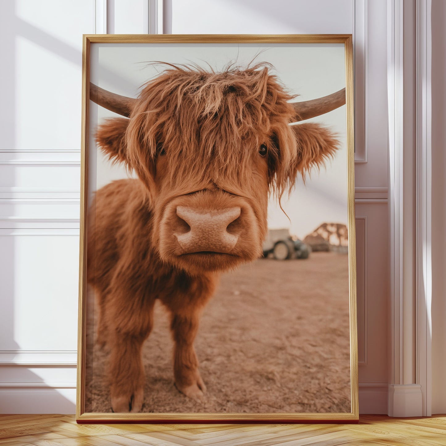 Sweet Stare from the Highland Pasture