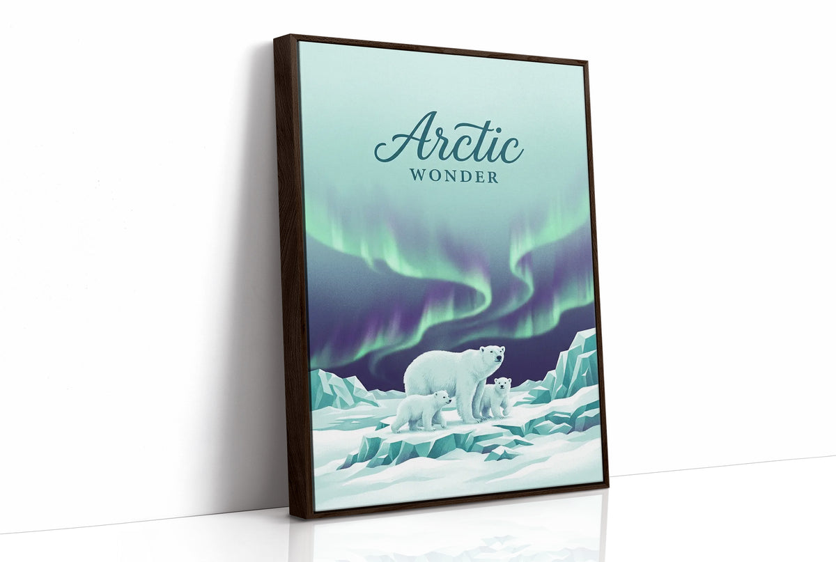 Arctic Wonder: Light Show, Front Row