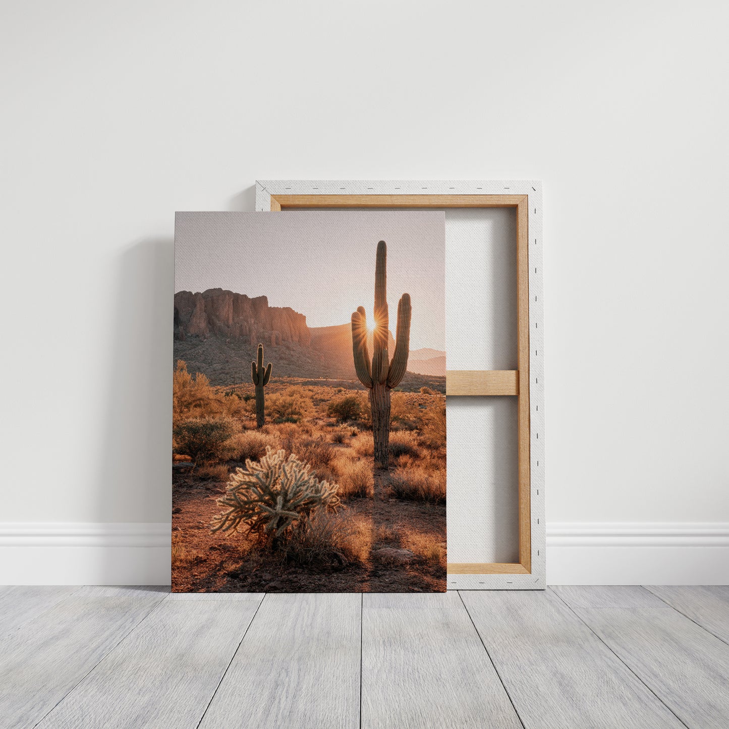 Sunlit Giants in Arid Embrace