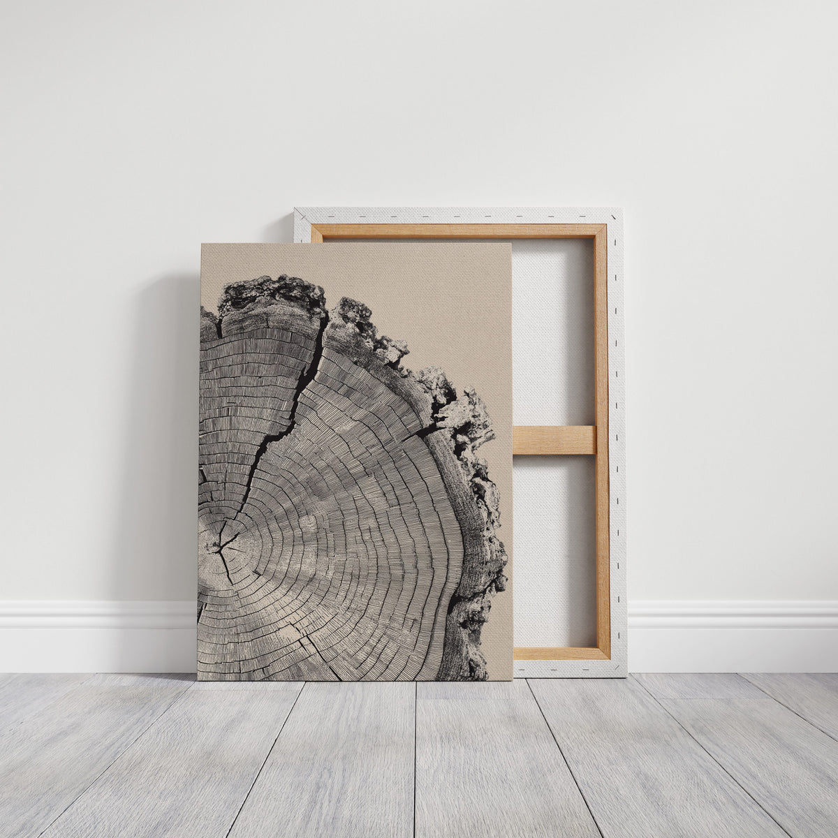Cross-Section of Time