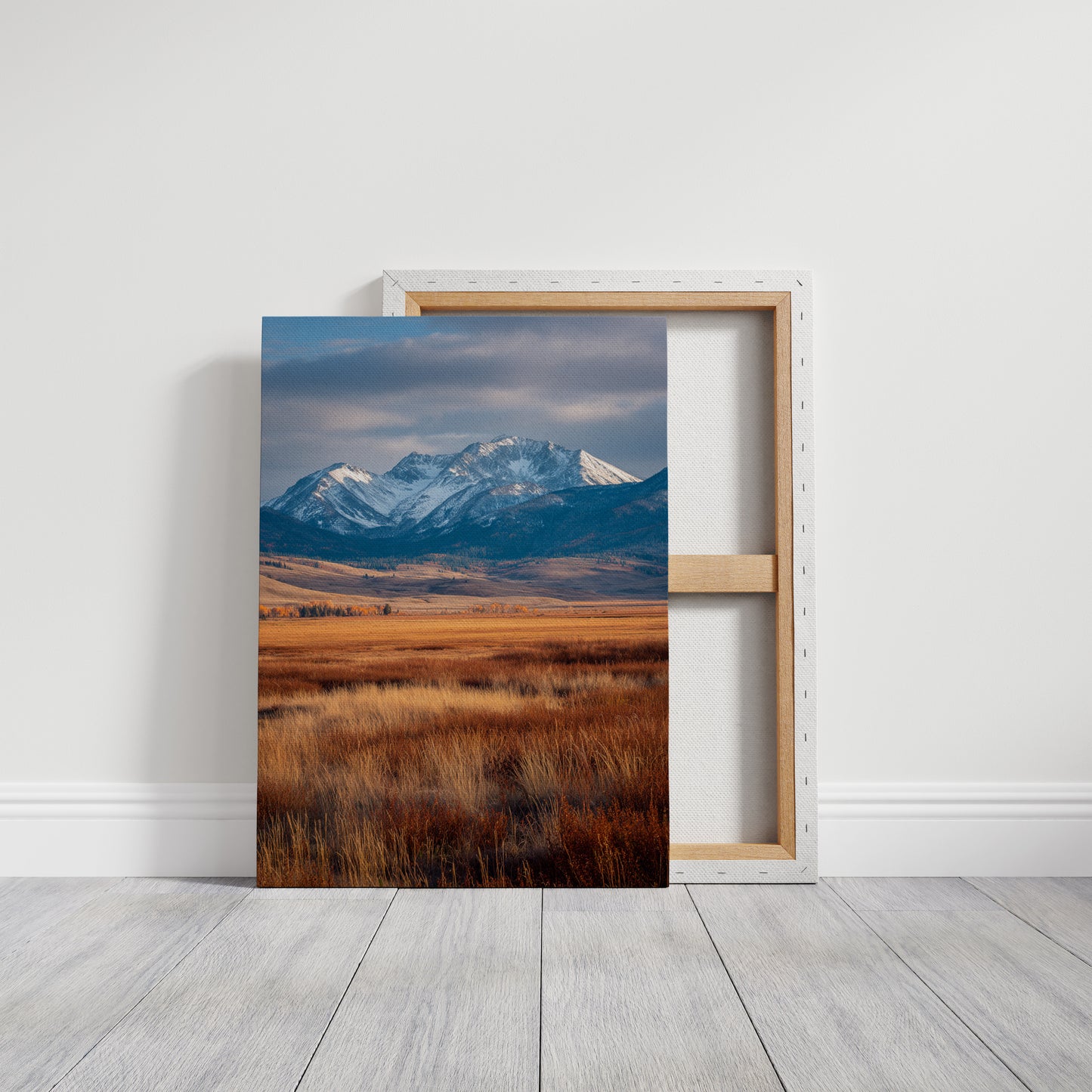 Golden Grasses Beneath Snowy Peaks
