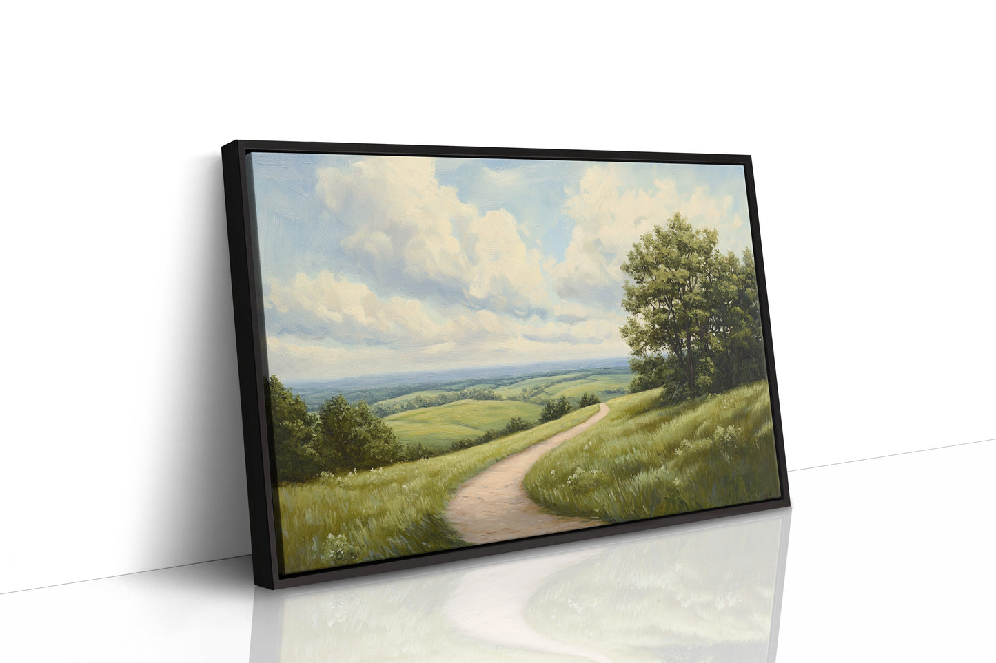 Summer Path Through Rolling Meadows