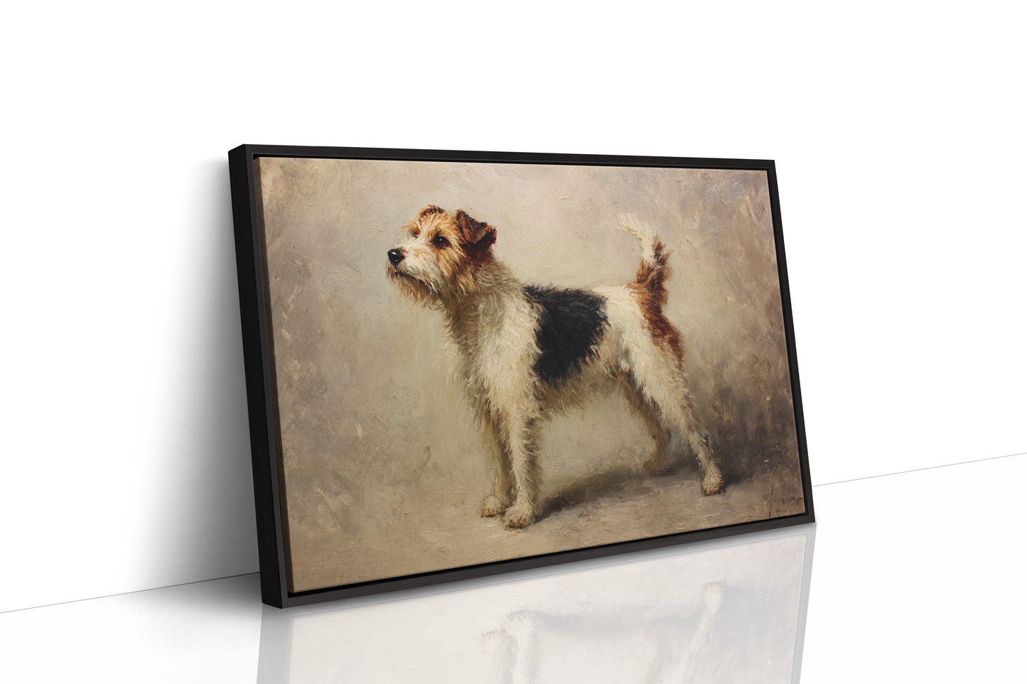 Noble Fox Terrier Stands Alert