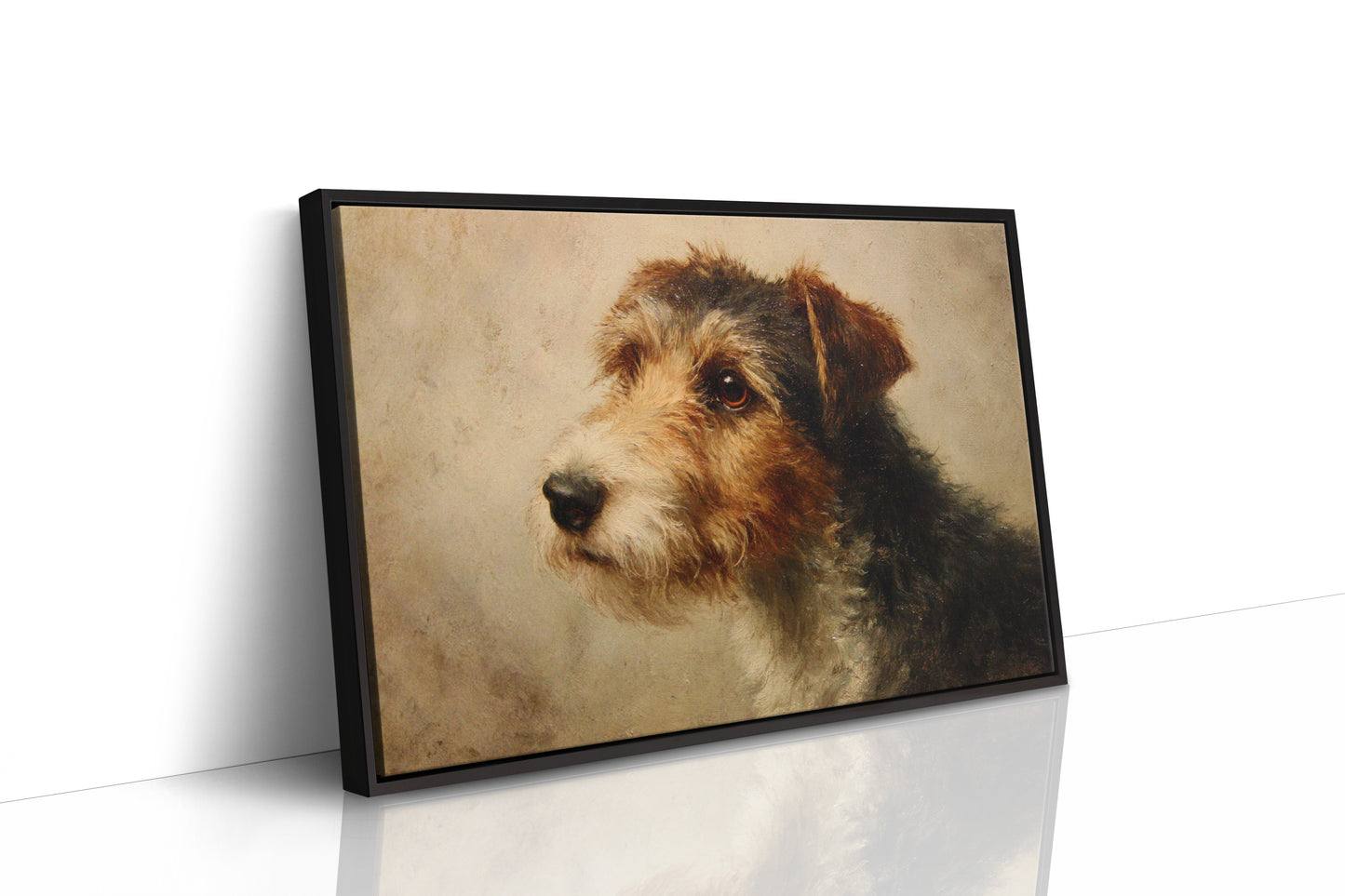 Faithful Eyes Hold Ancient Stories