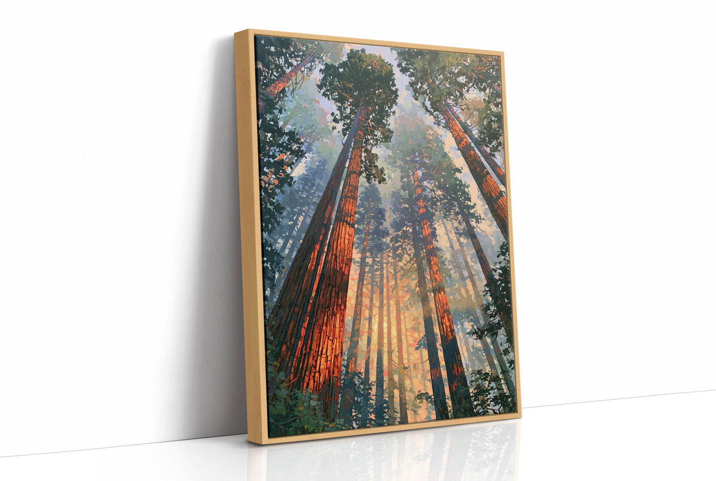 Canopy Ablaze With Light