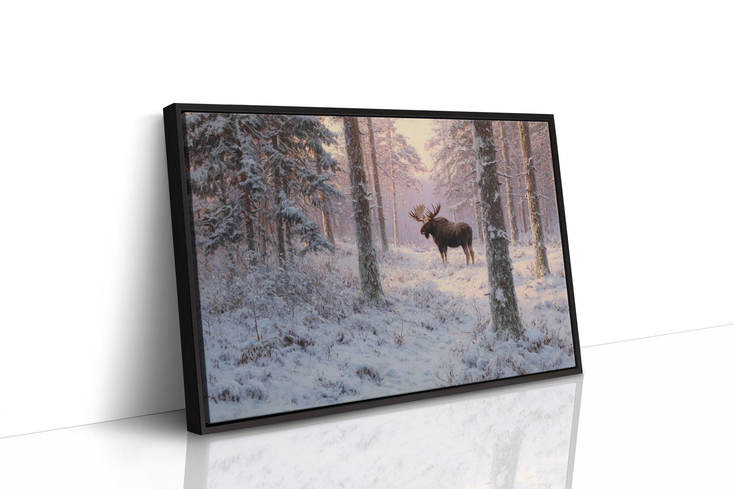 Winter's Light Finds Northern King