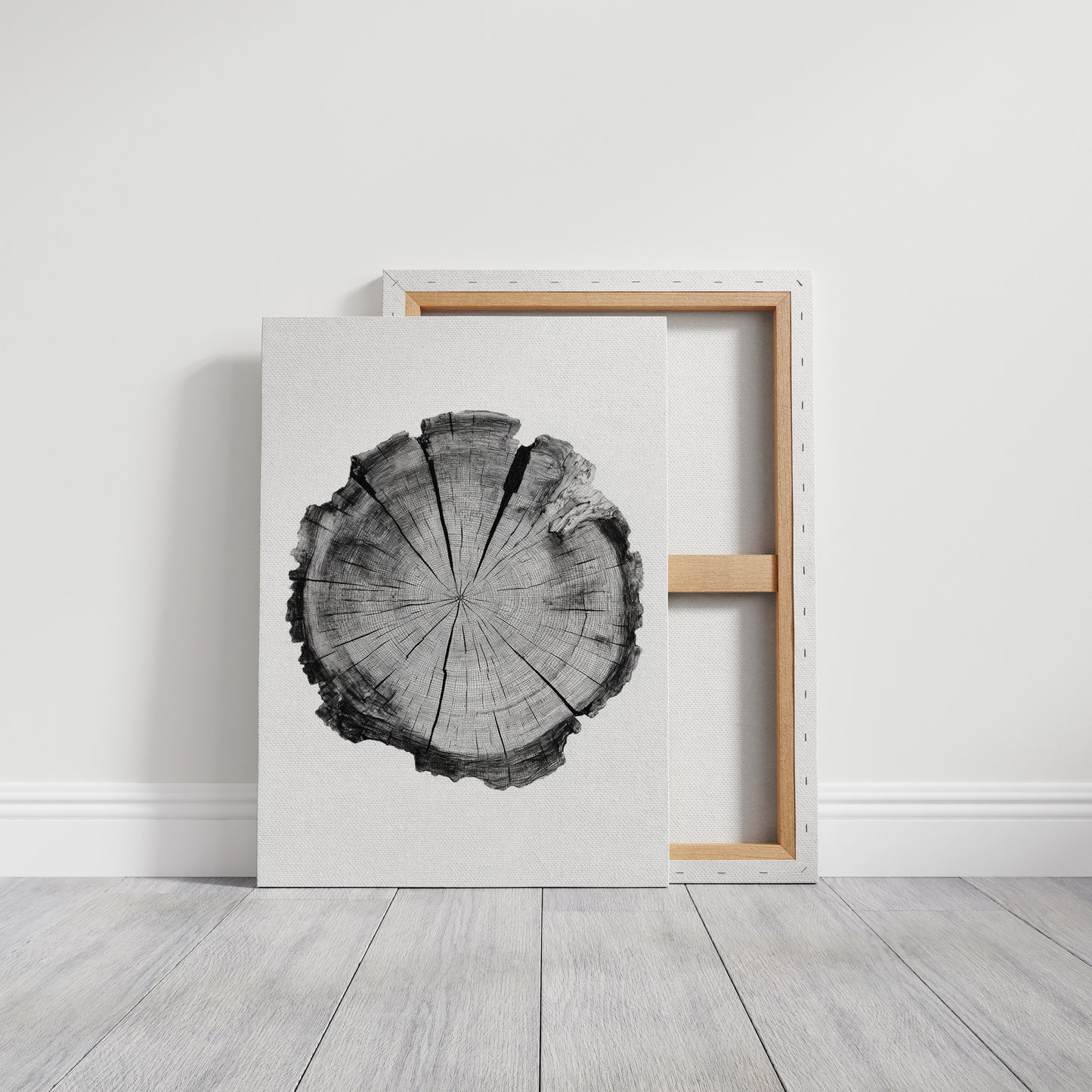 Textured Tree Ring Study