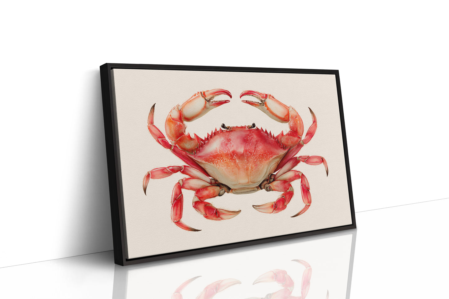 Coral Claws Catch Summer Light