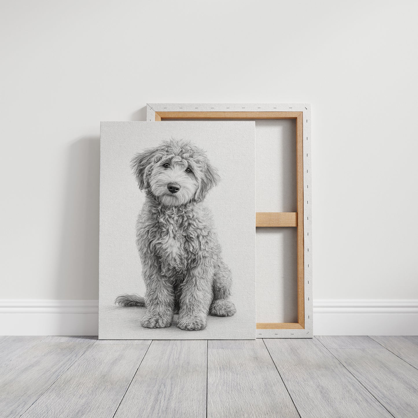 Curly Coat and Kind Eyes