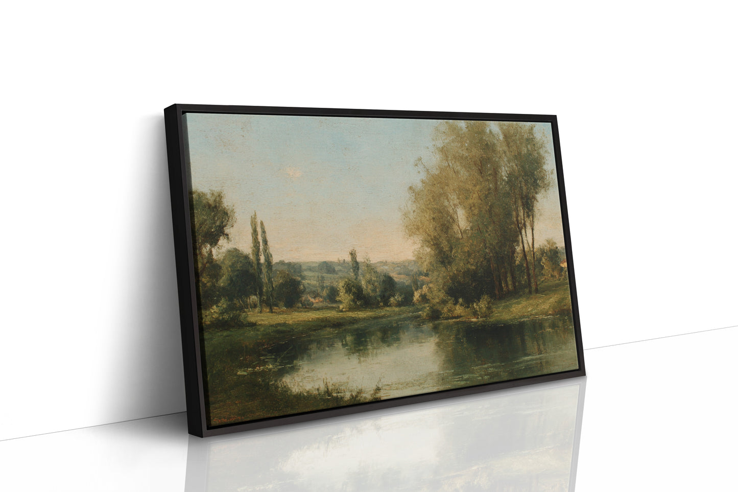 Poplars Mirror Summer's Gentle Light