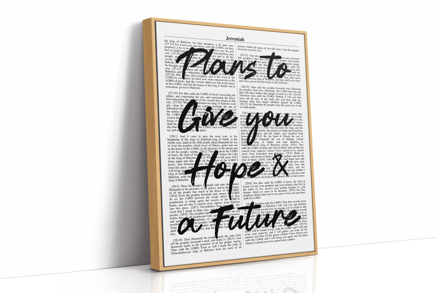 Plans to Give You a Future