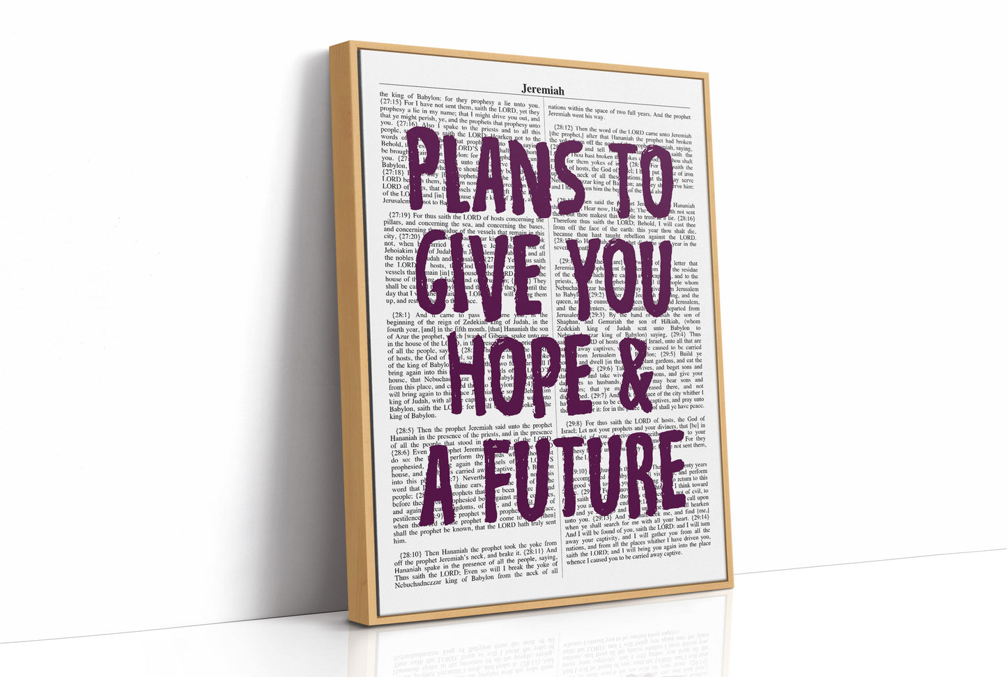 Plans to Give You Hope