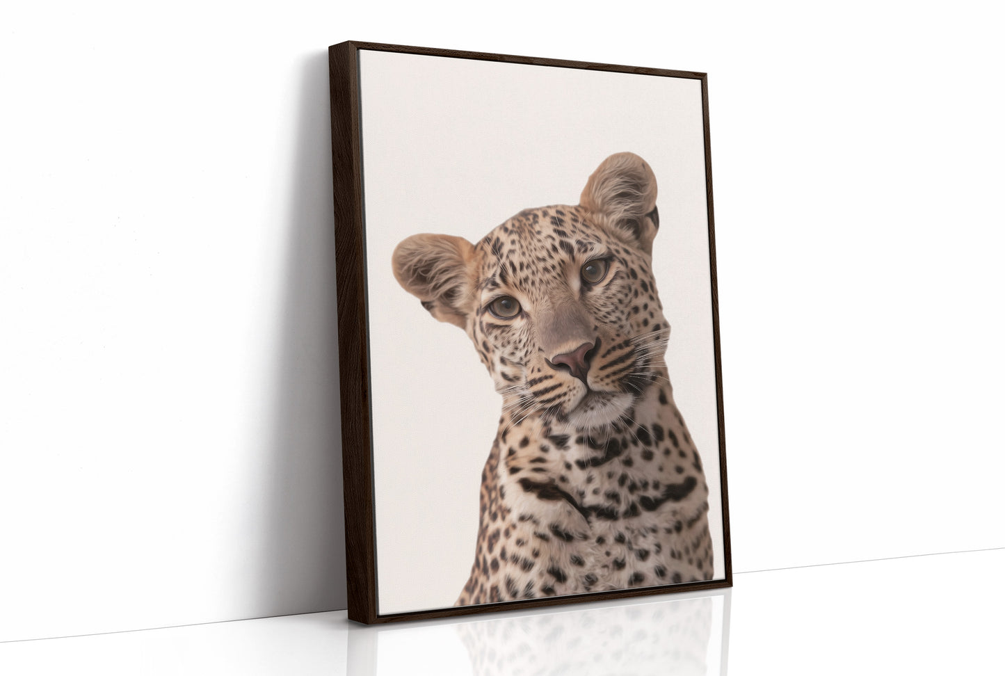 Leopard's Quiet Curiosity