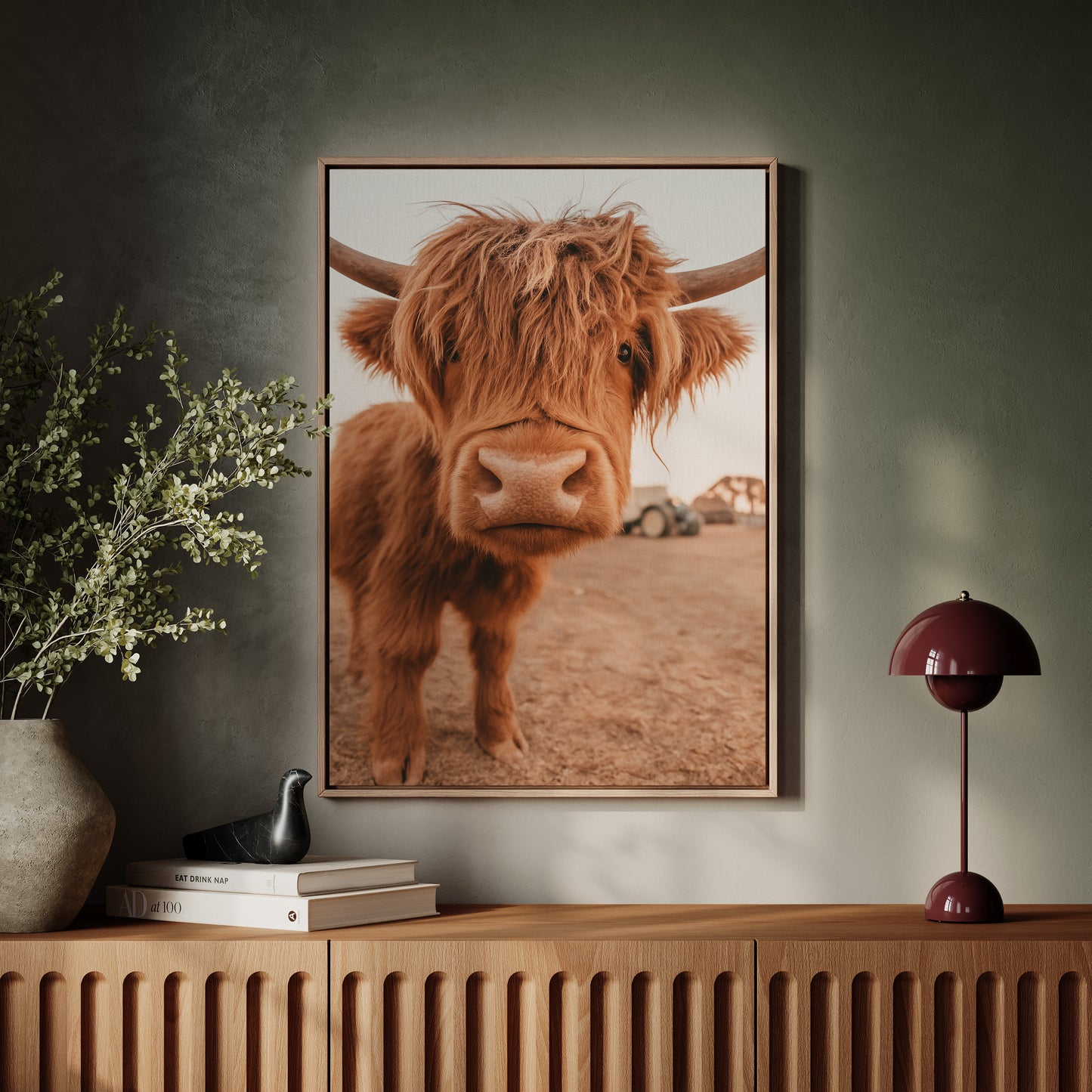 Sweet Stare from the Highland Pasture
