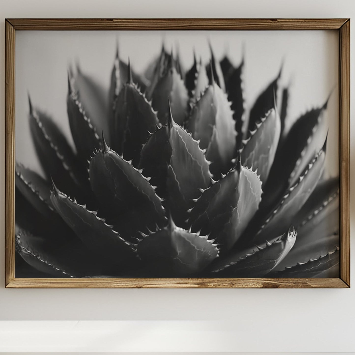 Desert Spines Dance In Moonlight