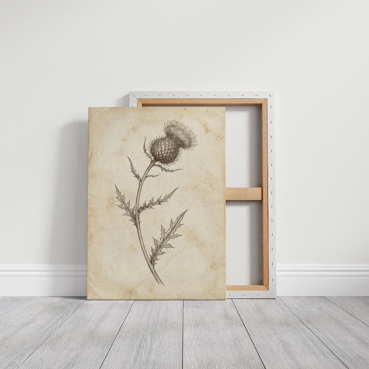 Thistle Study — Vintage Pen and Ink Botanical Print