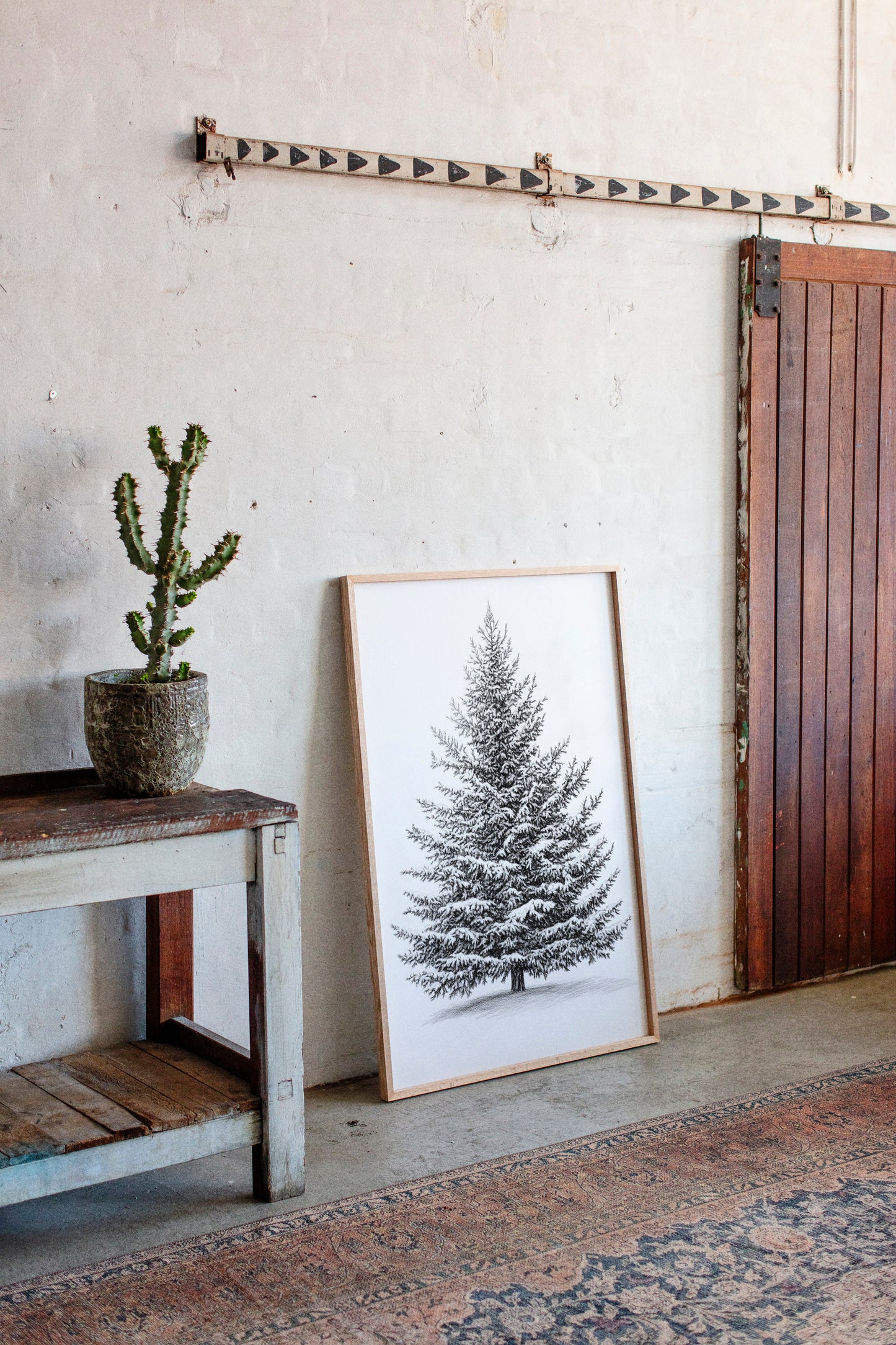Snow-Covered Pine Tree Drawing - Winter Botanical Art - Gallery Canvas image 6