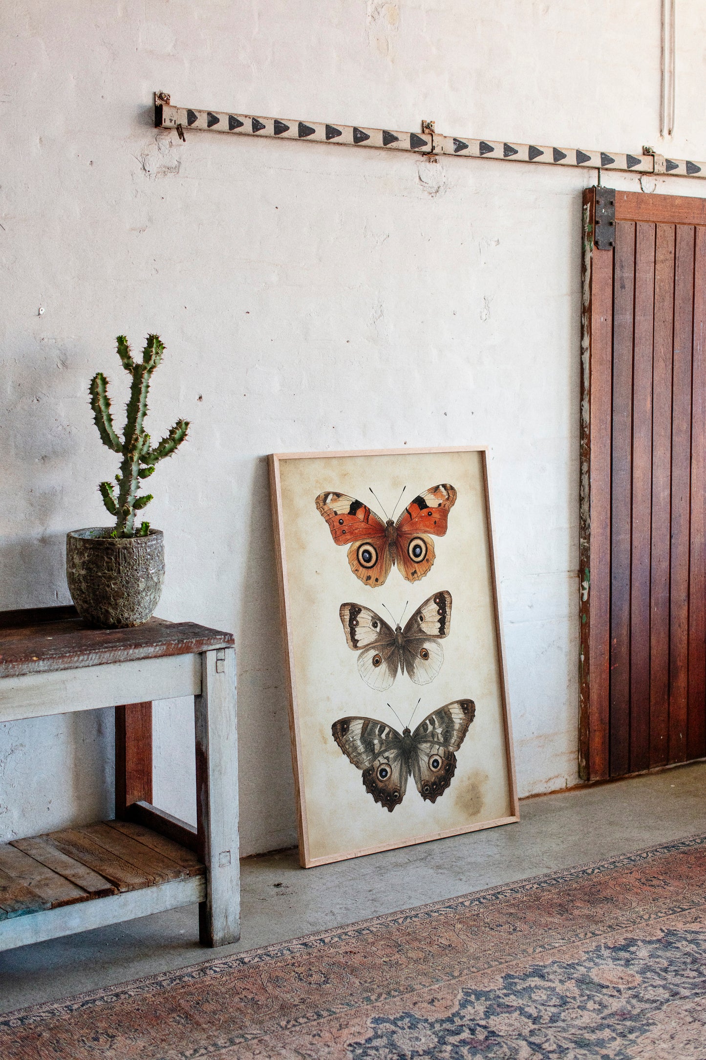 A Tapestry of Winged Wonders