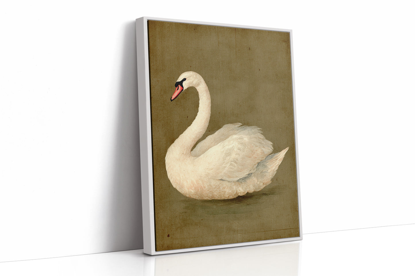 Elegance Stilled in Time