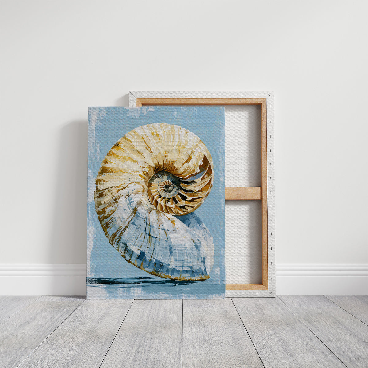 Golden Spiral, Nautilus Study