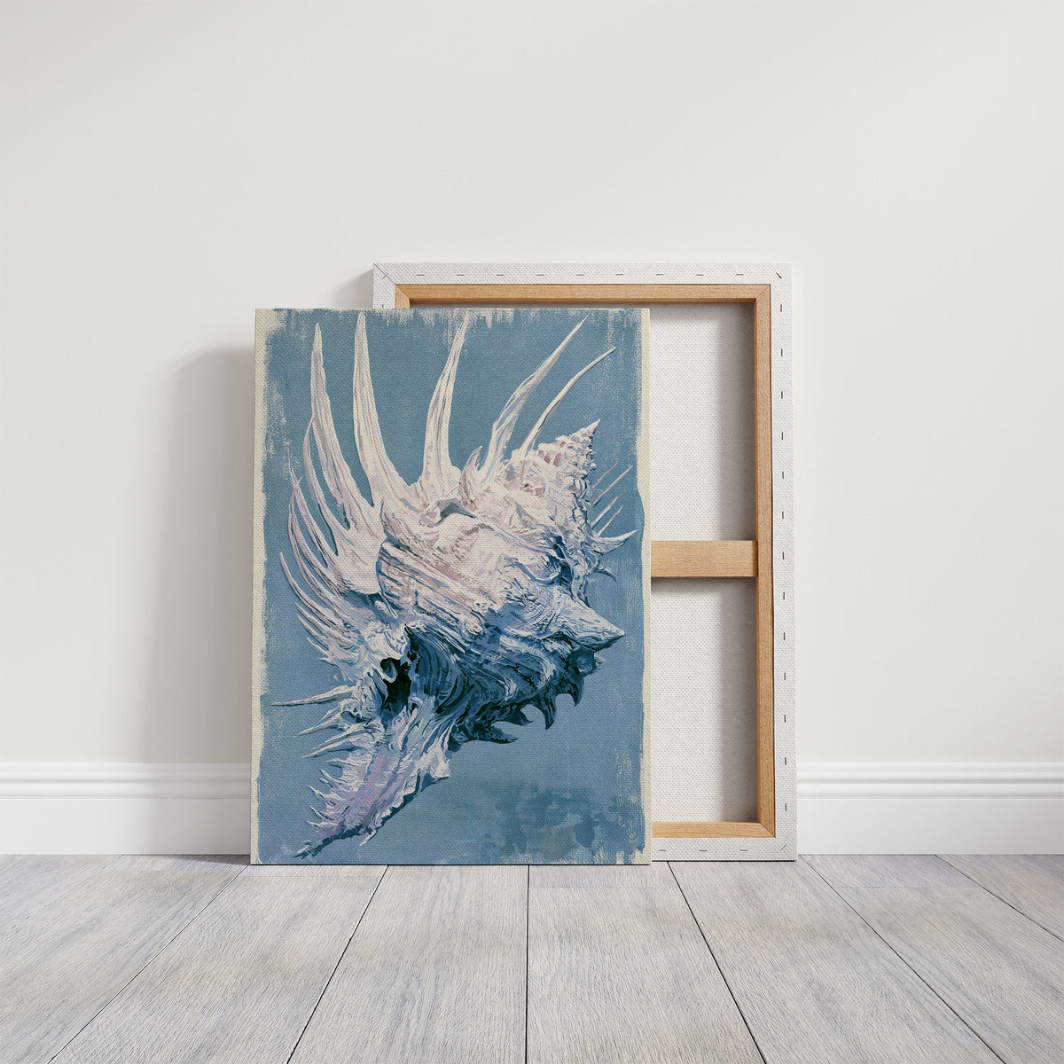Spiny Venus, Sea Blue