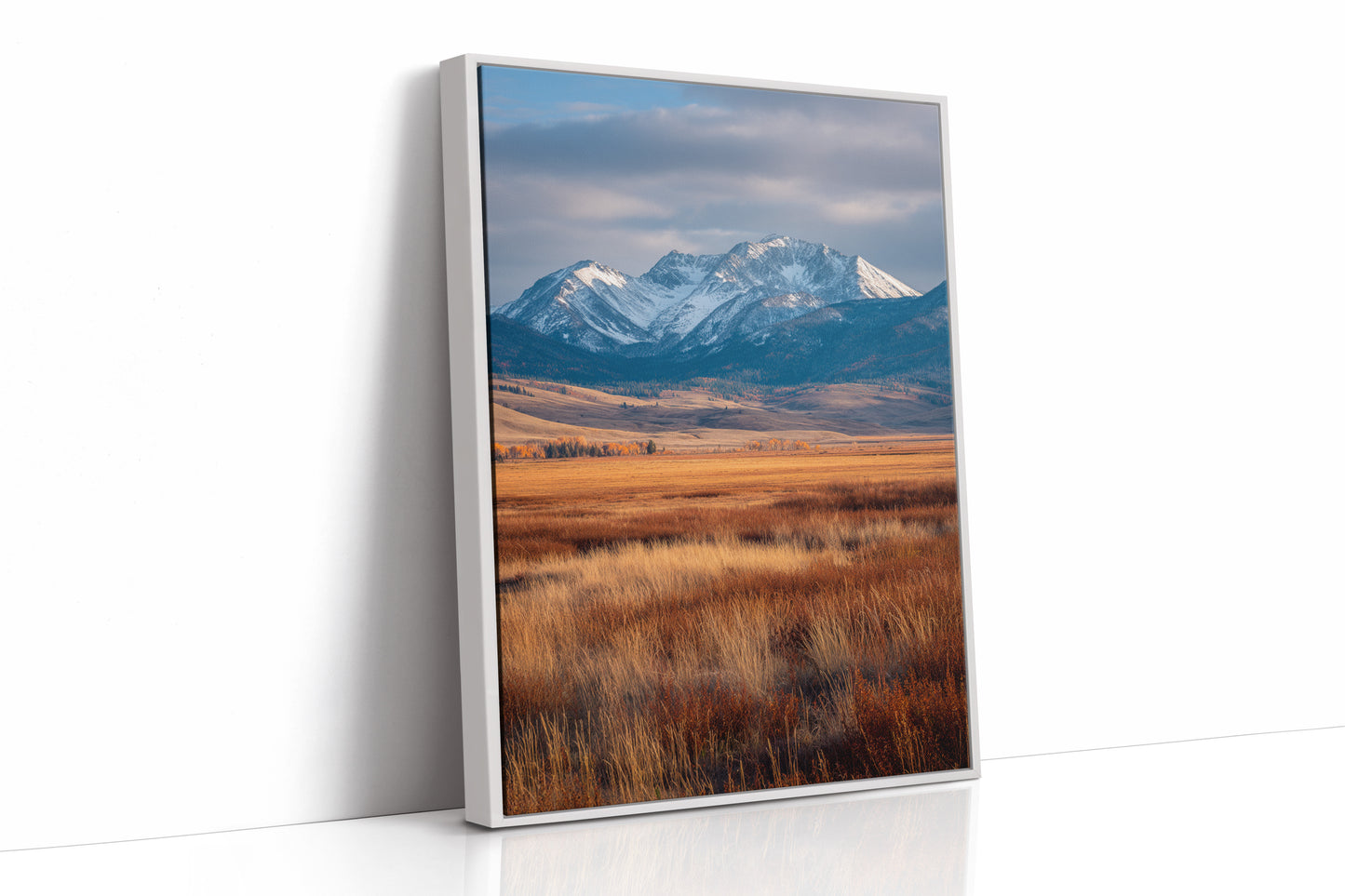 Golden Grasses Beneath Snowy Peaks
