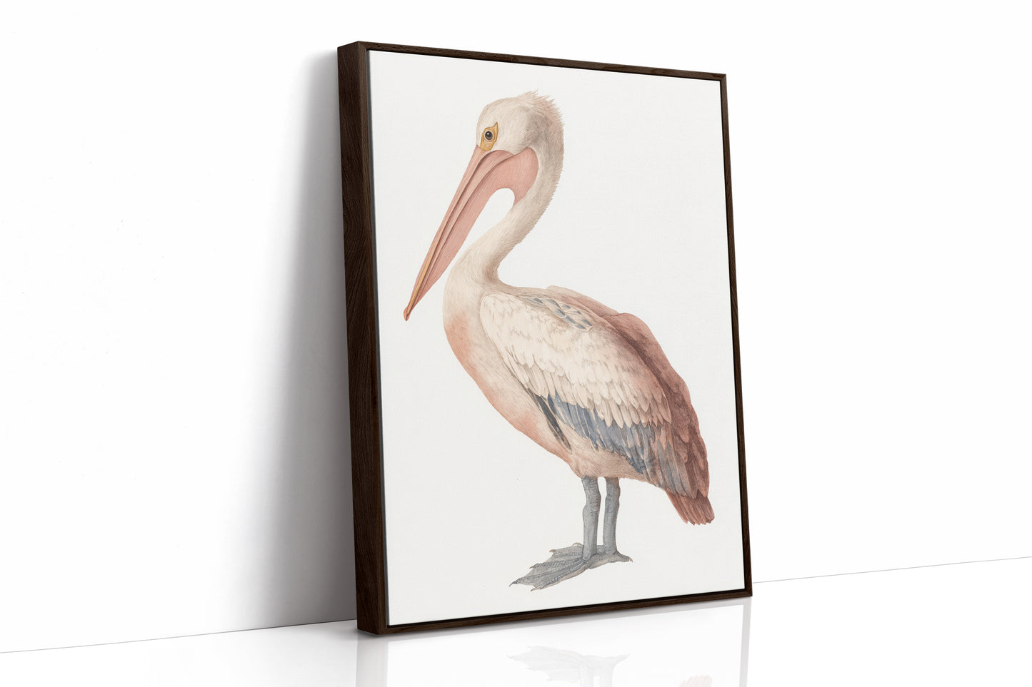 Beneath A Soft Feathered Gaze