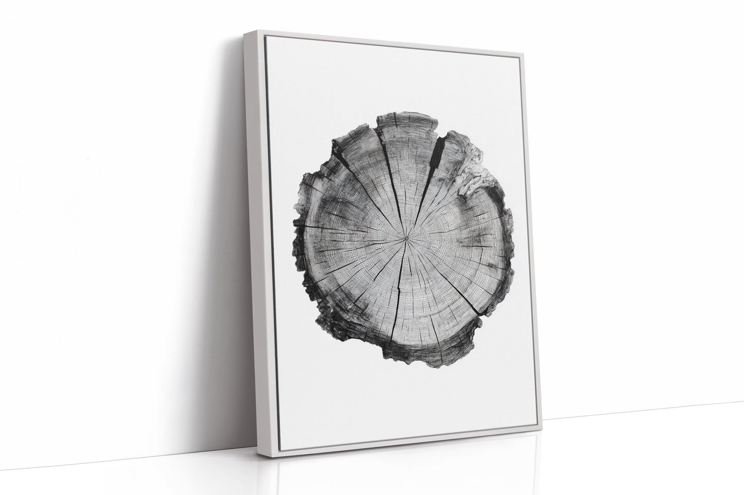 Textured Tree Ring Study