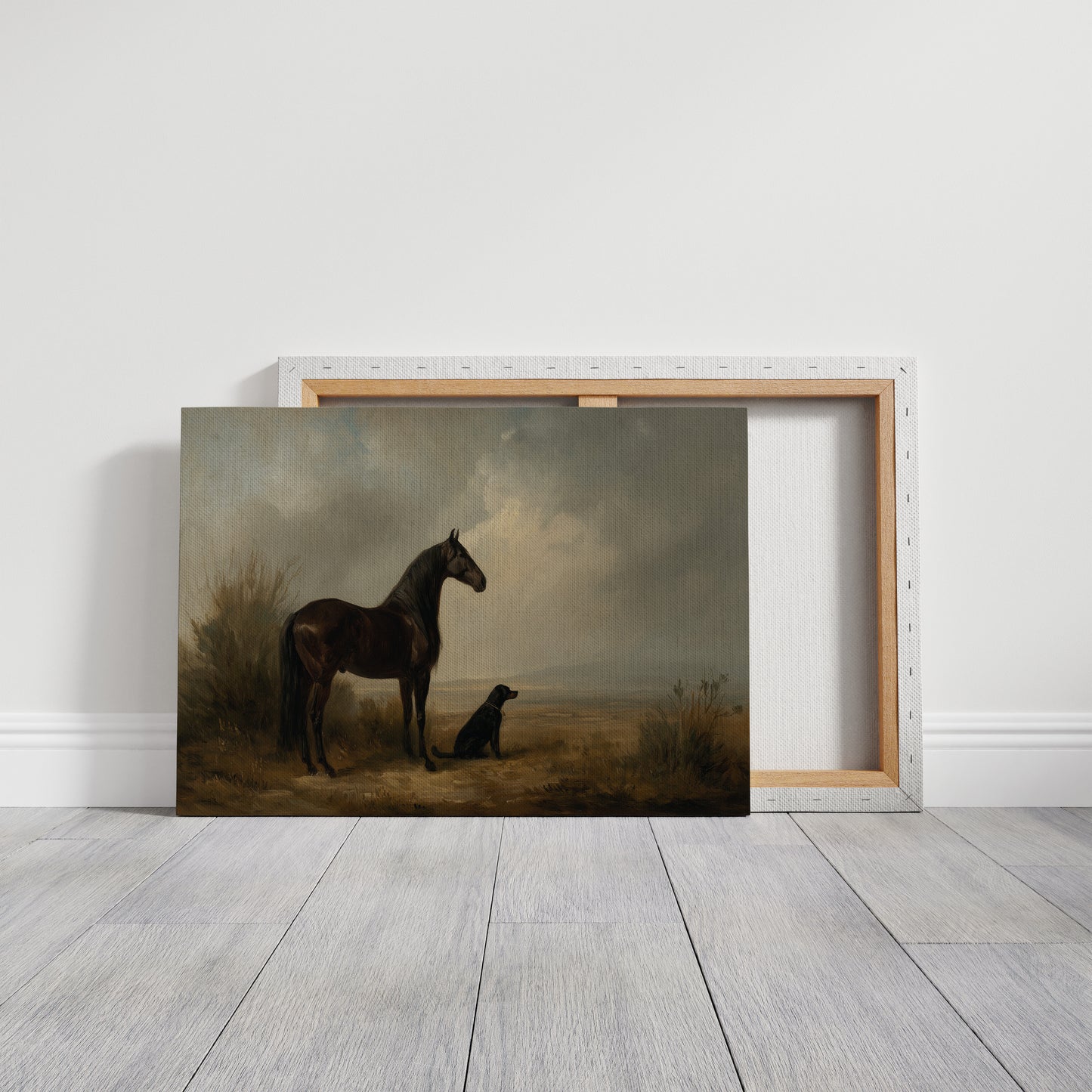 Noble Steed Shares Dawn With Friend