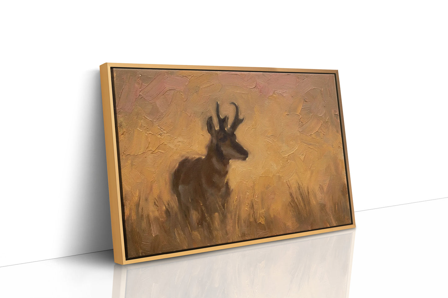Pronghorn in Golden Grass