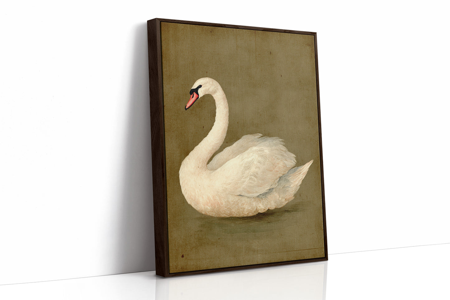 Elegance Stilled in Time