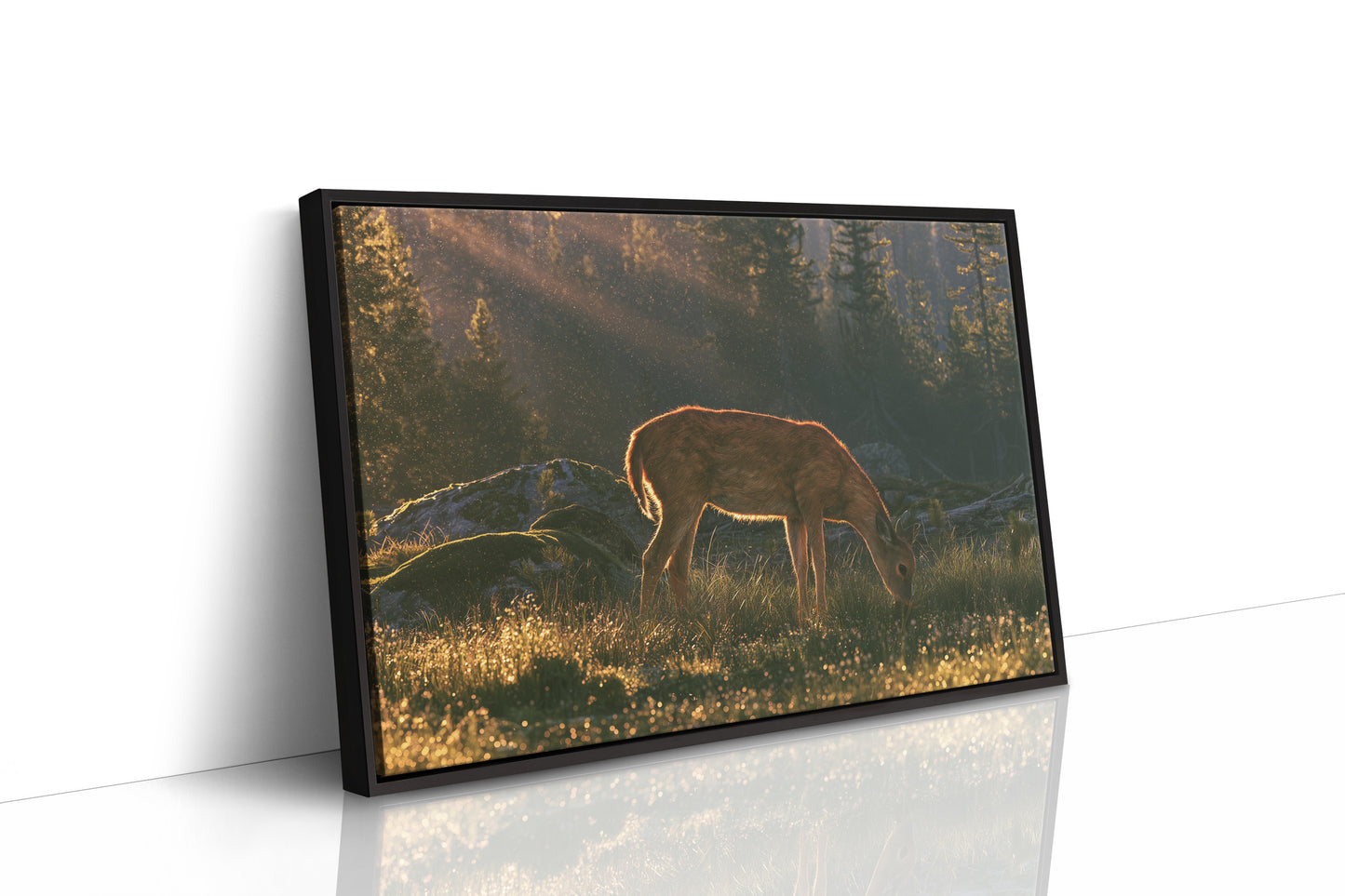 Grazing in the Golden Dew