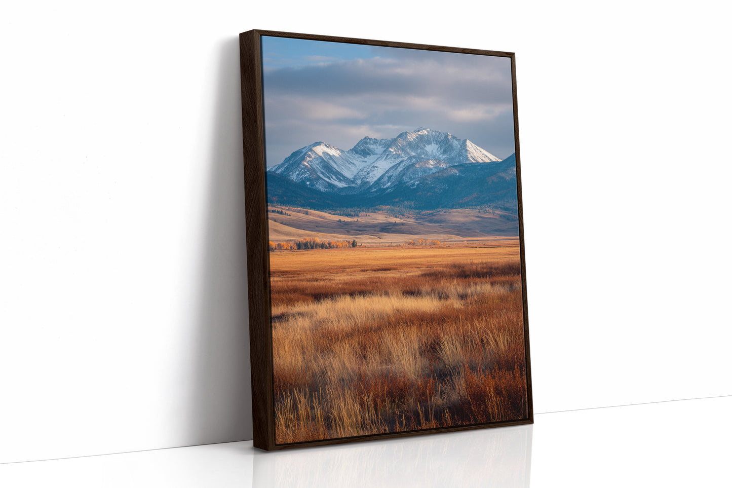 Golden Grasses Beneath Snowy Peaks