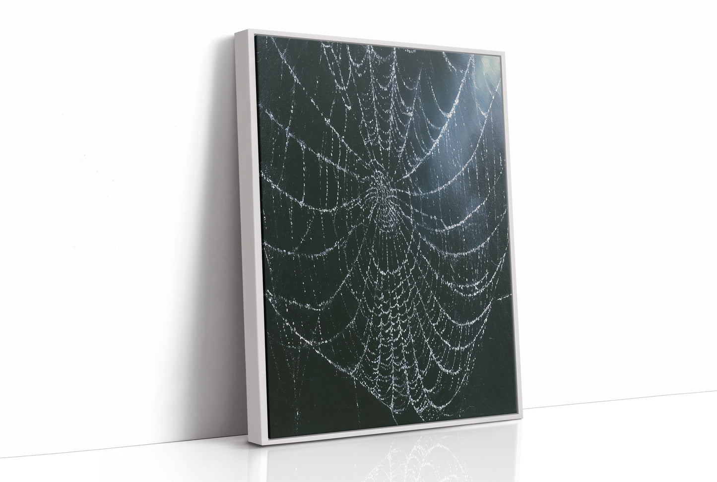 Dew-Kissed Web at Dusk