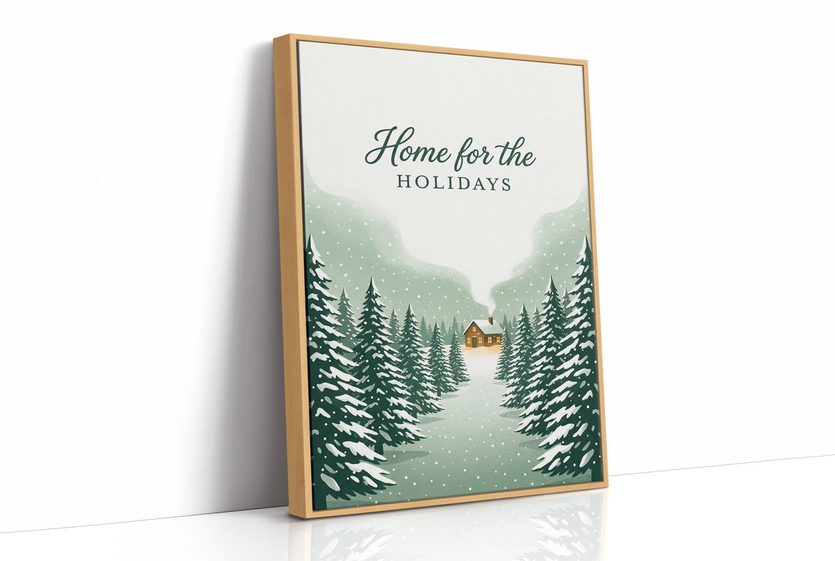 Home for the Holidays: Driveway Not Shoveled