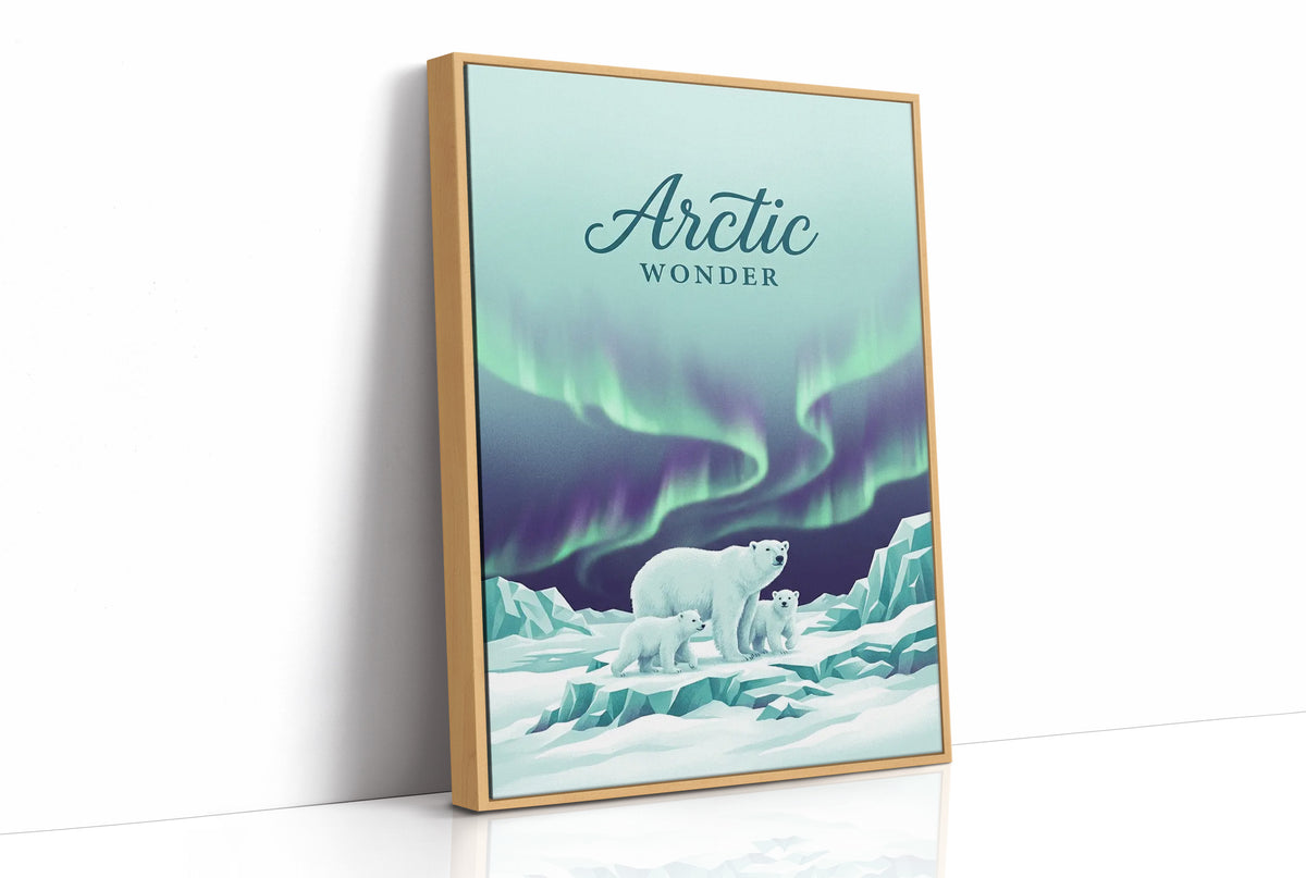 Arctic Wonder: Light Show, Front Row
