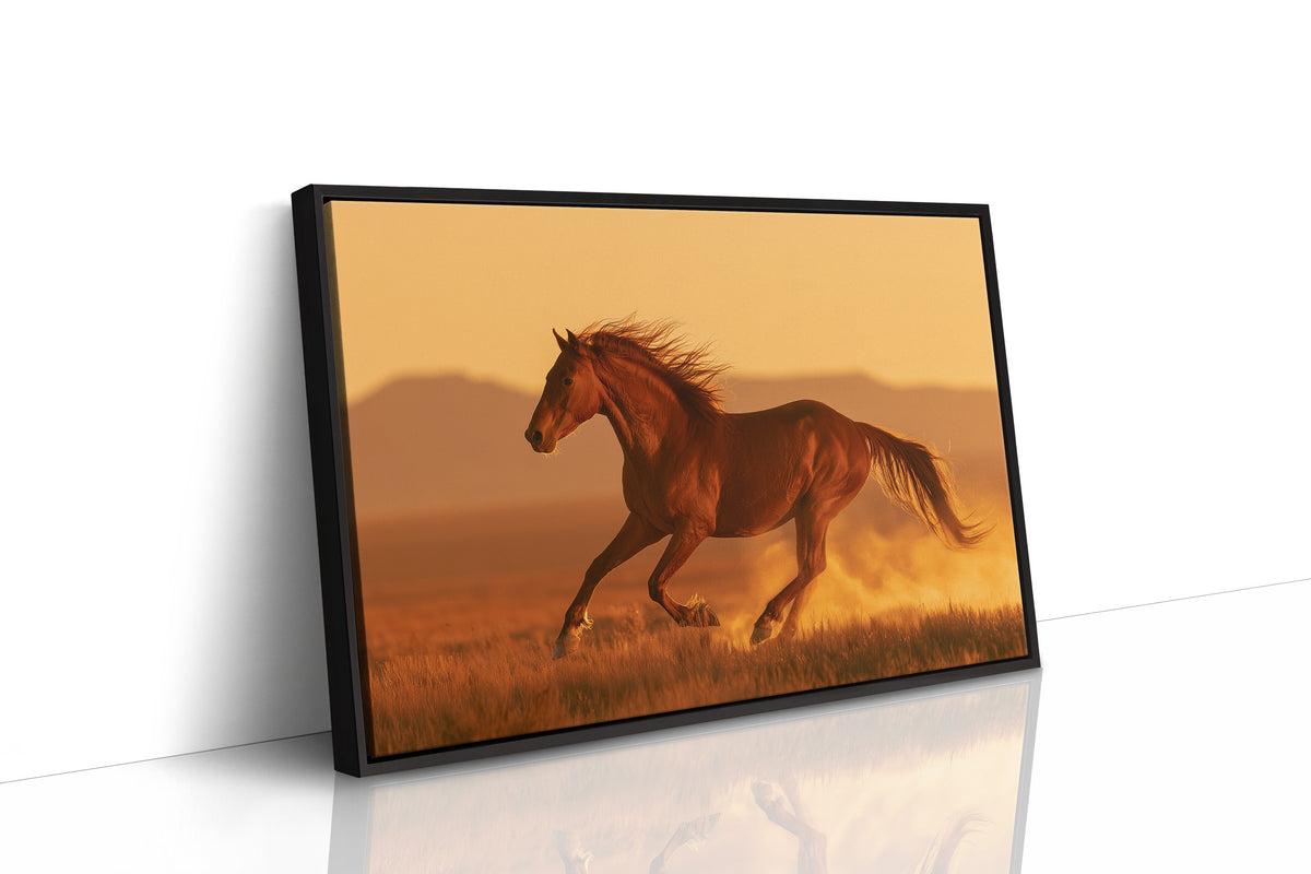 Chestnut Mustang at Golden Hour