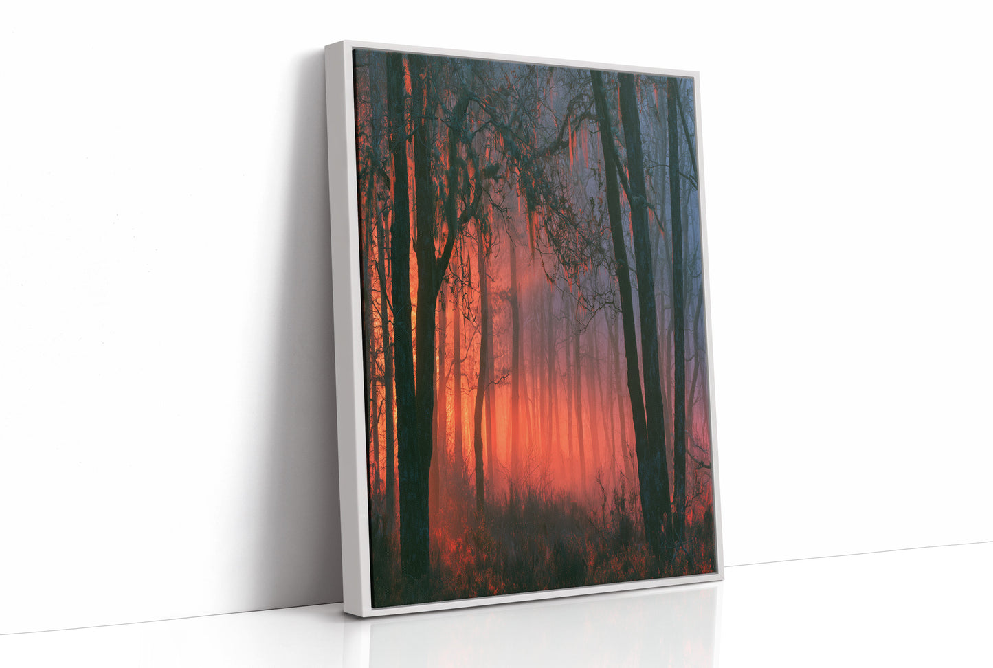 Forest Ablaze at Dusk