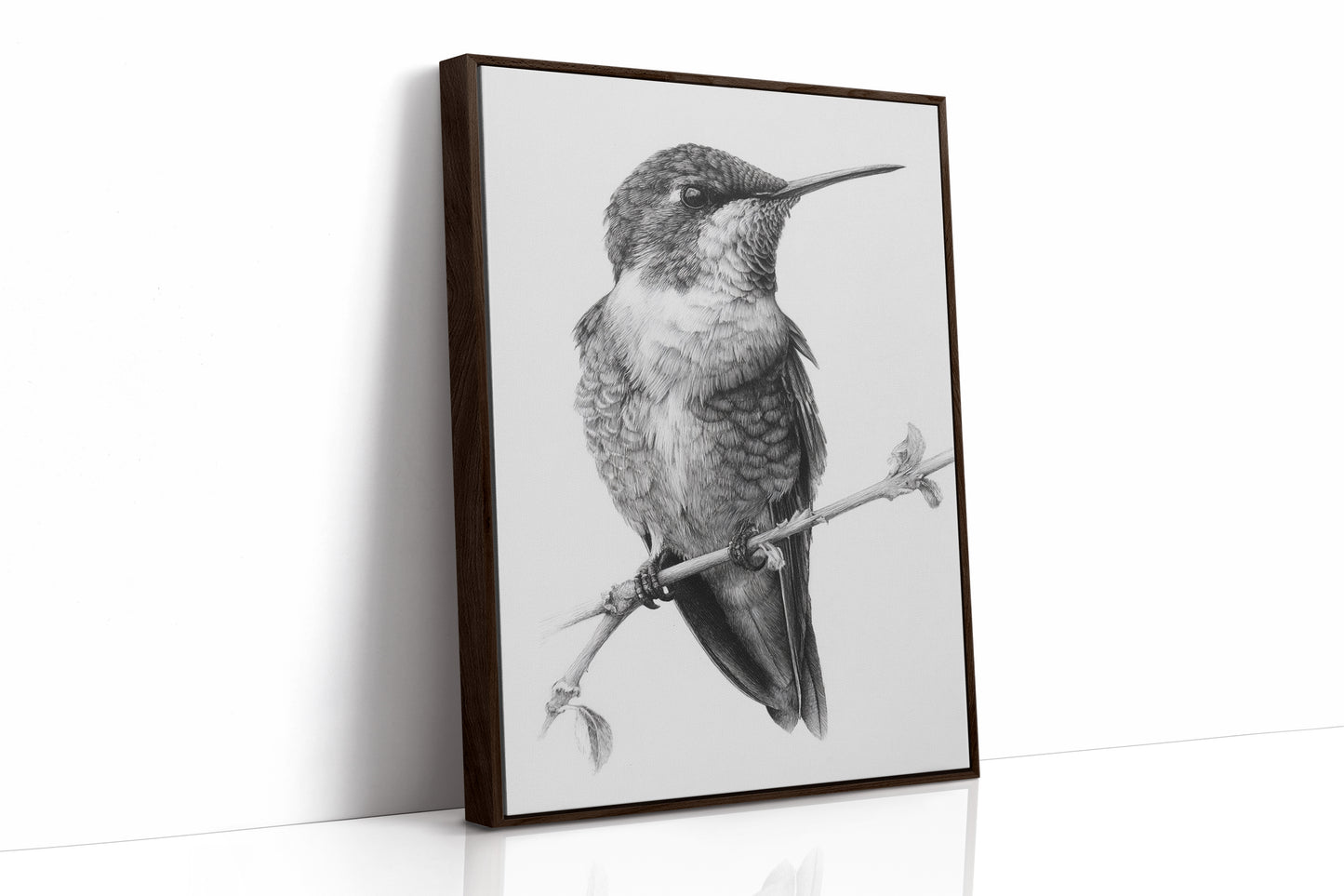 The Stillness of Feathered Grace