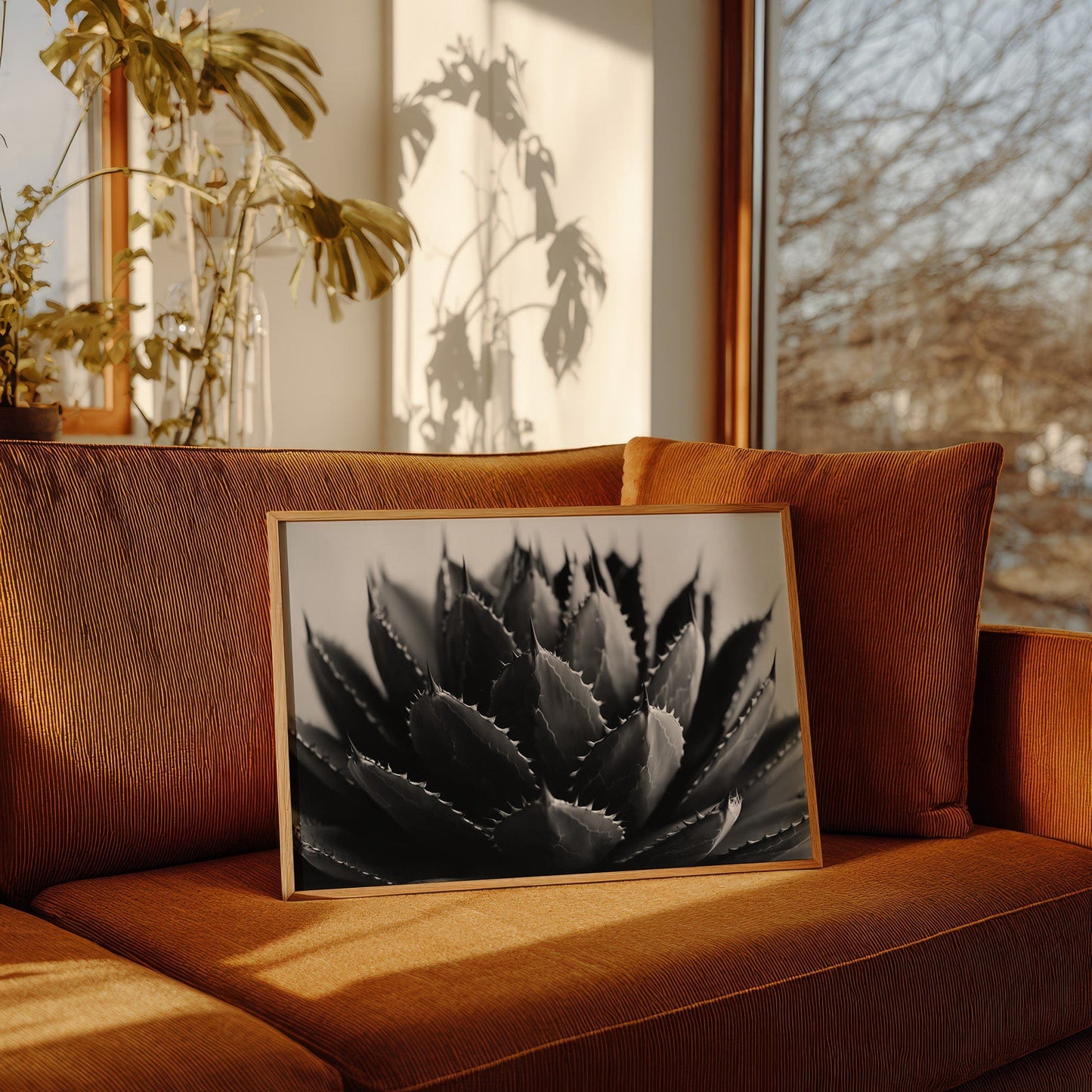 Desert Spines Dance In Moonlight
