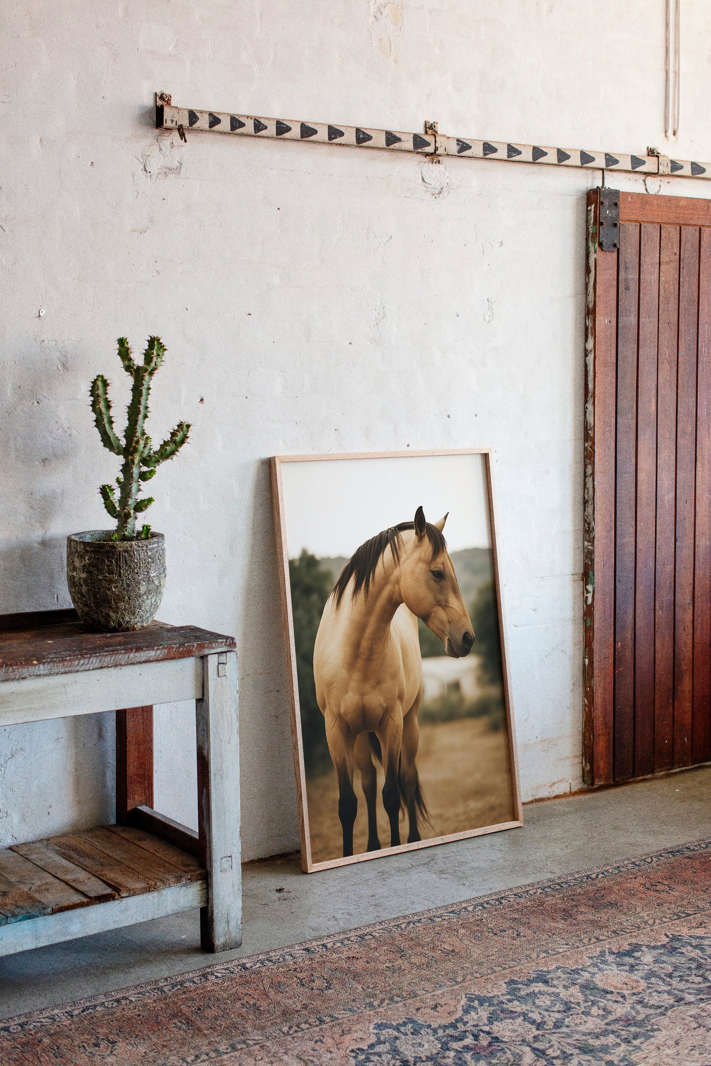 Buckskin Beauty in the Evening Light