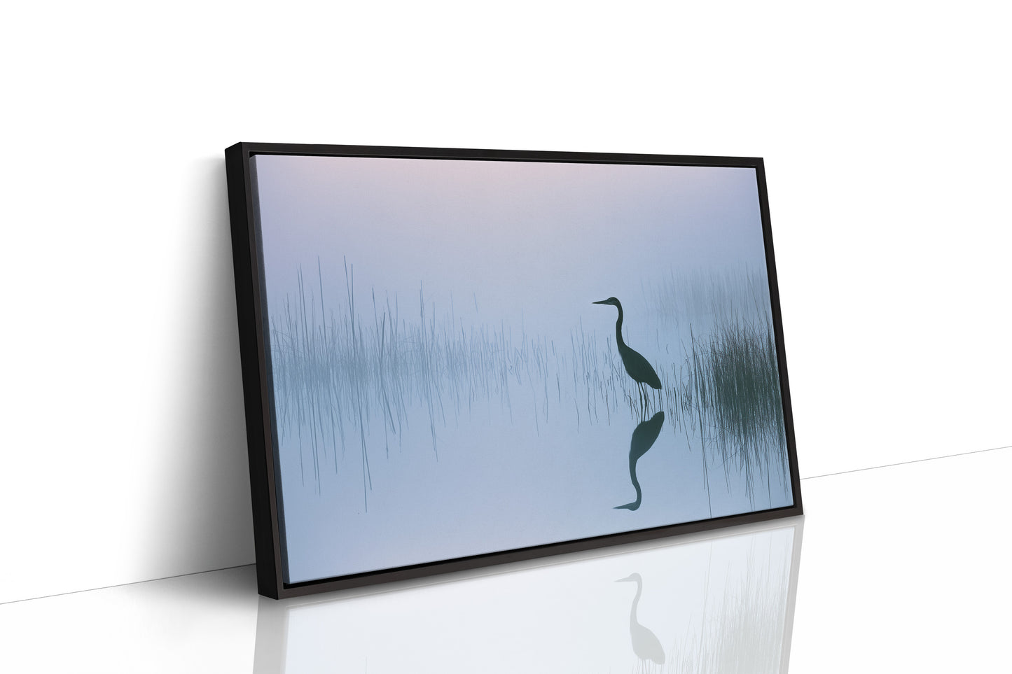 Stillness Before the Heron