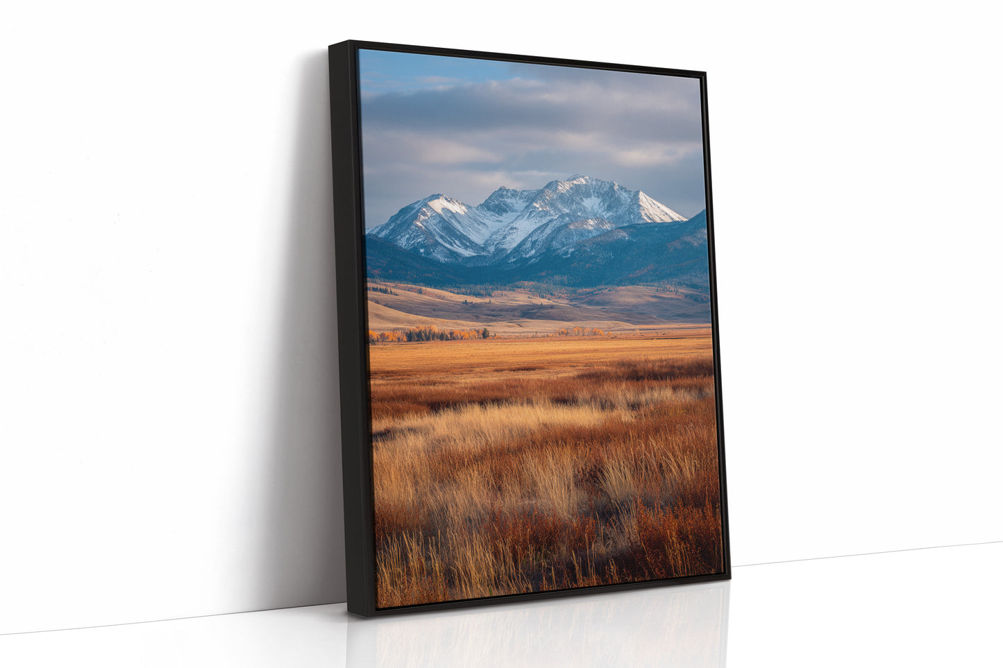 Golden Grasses Beneath Snowy Peaks