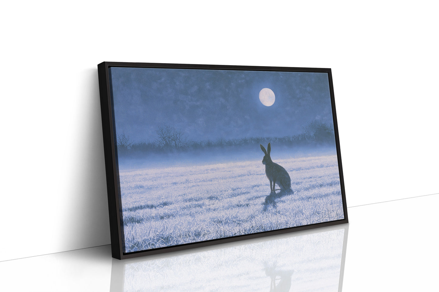 The Hare and the Full Moon