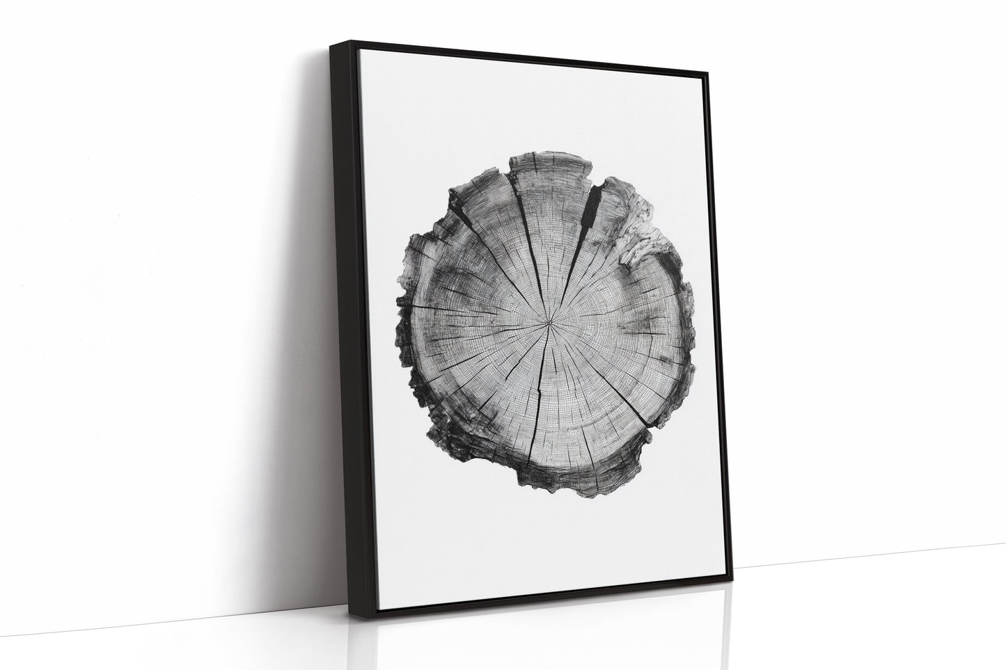 Textured Tree Ring Study